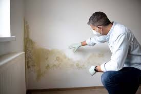 Best Mold Remediation for Healthcare Facilities  in Mena, AR